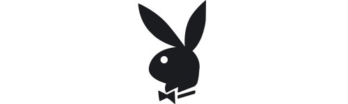 PlayBoy